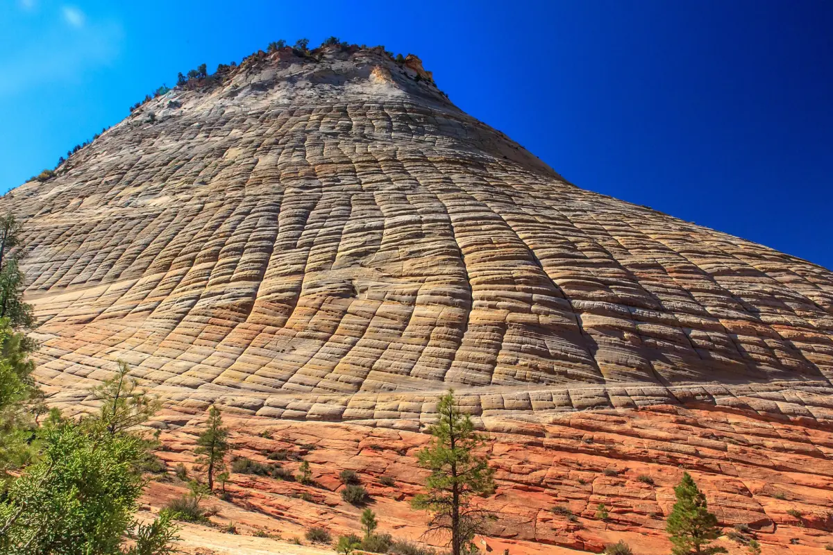 Checkerboard Mesa on the east side of Zion