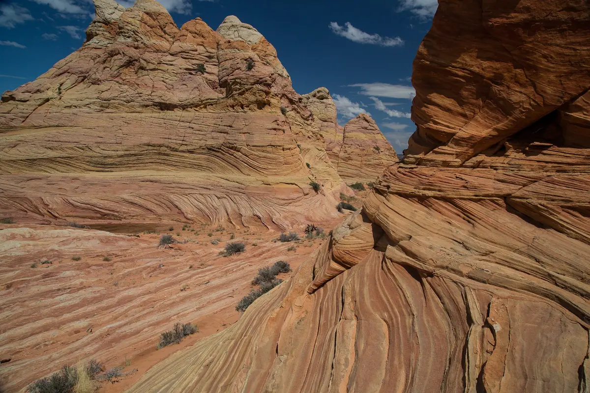 Curving sandstone ridges in the Coyote Buttes area