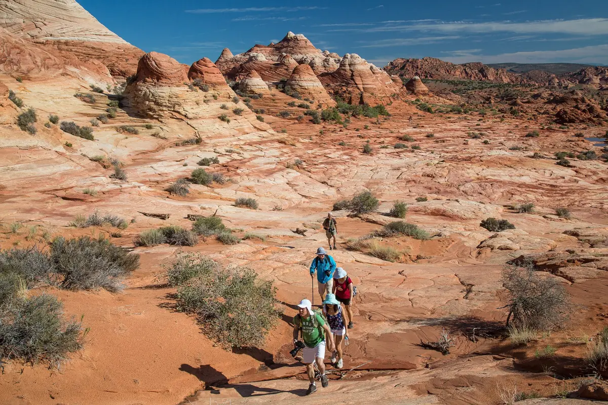 Hikers crossing sandstone in Vermilion Cliffs National Monument