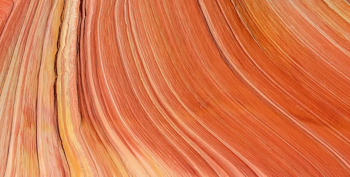 Banded orange sandstone of The Wave