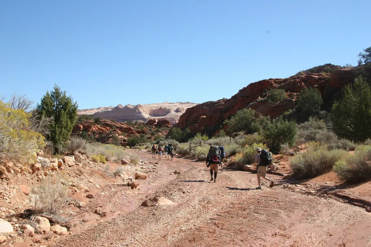 Hikers in the wash below the Wire Pass trailhead